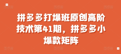 拼多多打爆班原创高阶技术第41期，拼多多小爆款矩阵-一点通资源网