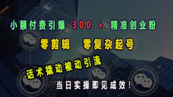小额付费引爆 300 + 精准创业粉，零剪辑、零复杂起号，话术撬动被动引流，当日实操即见成效-一点通资源网