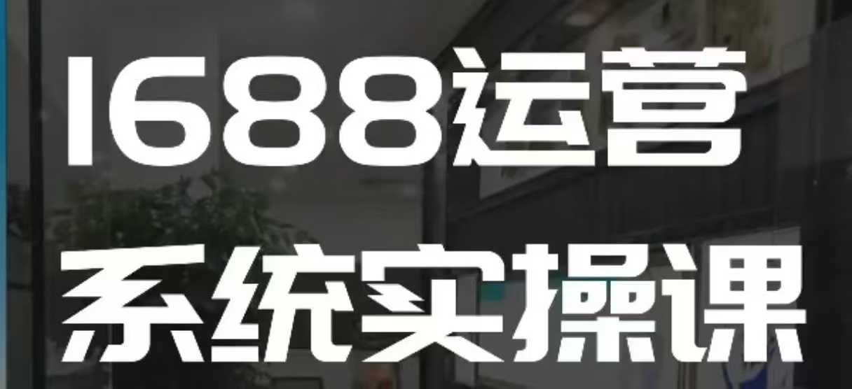 1688高阶运营系统实操课，快速掌握1688店铺运营的核心玩法-一点通资源网