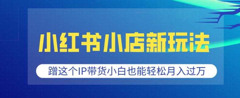 小红书小店新玩法，蹭这个IP带货，小白也能轻松月入过W【揭秘】-一点通资源网