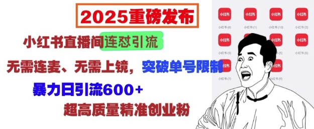2025重磅发布：小红书直播间连怼引流，无需连麦、无需上镜，突破单号限制，暴力日引流600+-一点通资源网