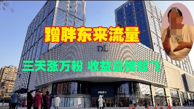 蹭胖东来流量，三天涨万粉，收益直接起飞-一点通资源网