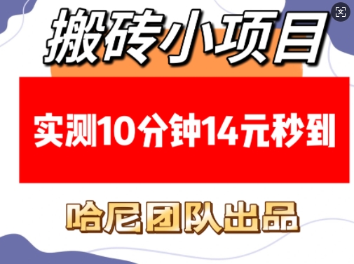 搬砖小项目，实测10分钟14元秒到，每天稳定几张(赠送必看稳定)-一点通资源网