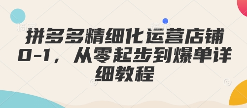 拼多多精细化运营店铺0-1，从零起步到爆单详细教程-一点通资源网