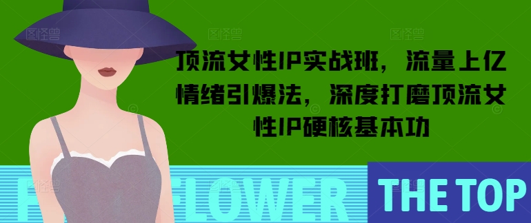 顶流女性IP实战班，流量上亿情绪引爆法，深度打磨顶流女性IP硬核基本功-一点通资源网