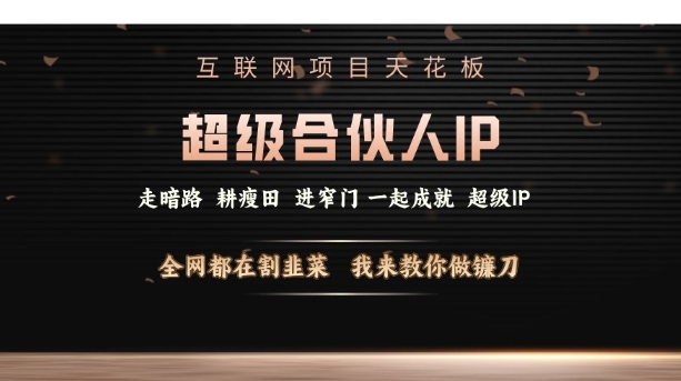 互联网项目天花板，超级合伙人IP，全网都在割韭菜，我来教你做镰刀【仅揭秘】-一点通资源网