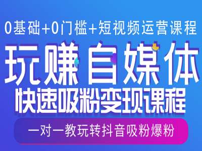 0基础+0门槛+短视频运营课程，玩赚自媒体快速吸粉变现课程，一对一教玩转抖音吸粉爆粉-一点通资源网