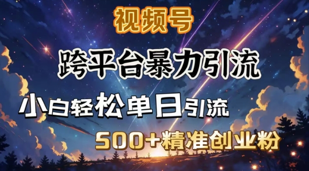 跨平台暴力引流，私域完美闭环，日引500+精准创业粉-一点通资源网