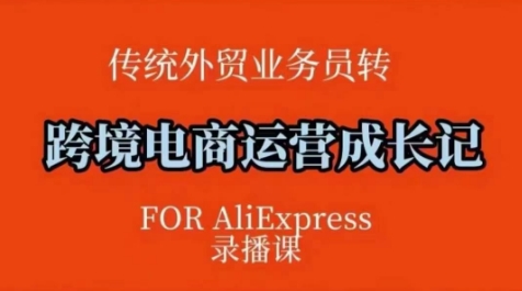 跨境电商速卖通运营课，​运营方法论+后台实操，逻辑清晰-一点通资源网