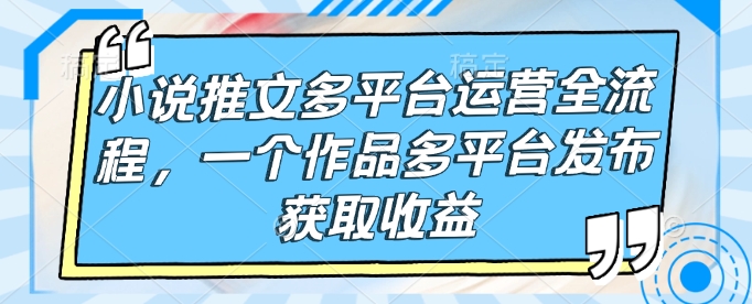 小说推文多平台运营全流程，一个作品多平台发布获取收益-一点通资源网