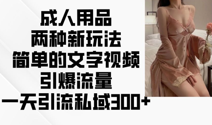 成人用品两种新玩法，简单的文字视频引爆流量，一天引流私域300+-一点通资源网