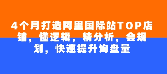 4个月打造阿里国际站TOP店铺，懂逻辑，精分析，会规划，快速提升询盘量-一点通资源网