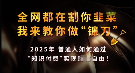 知识付费如何做到月入过W+，2025我来教你做“镰刀”【揭秘】-一点通资源网