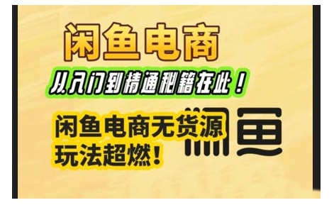 闲鱼电商实战课，从入门到精通秘籍在此，闲鱼电商无货源玩法超燃!-一点通资源网