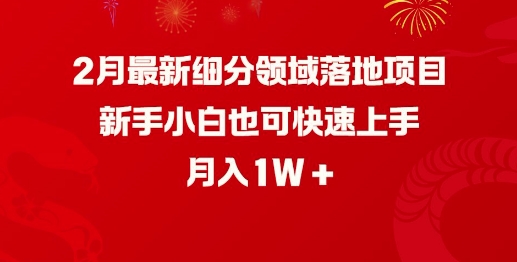 2月最新细分领域落地项目，新手小白也可快速上手，月入1W-一点通资源网