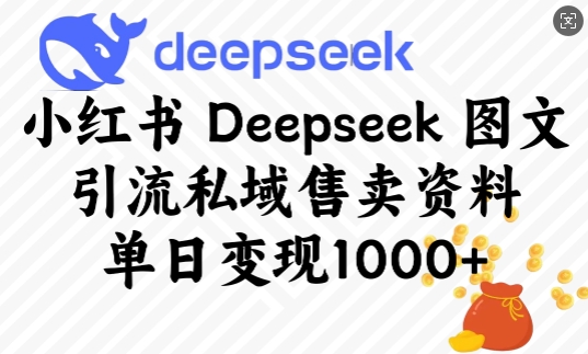 小红书Deepseek图文引流私域售卖资料，单日变现多张-一点通资源网