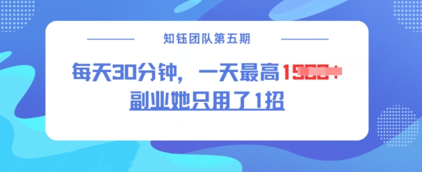 副业她只用了1招，每天30分钟，无脑二创，一天最高1.5k-一点通资源网