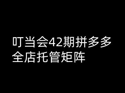叮当会拼多多打爆班原创高阶技术第42期，拼多多全店托管矩阵-一点通资源网