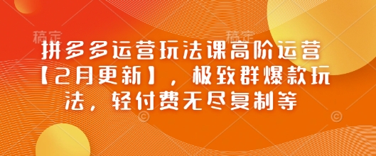 拼多多运营玩法课高阶运营【2月更新】，极致群爆款玩法，轻付费无尽复制等-一点通资源网