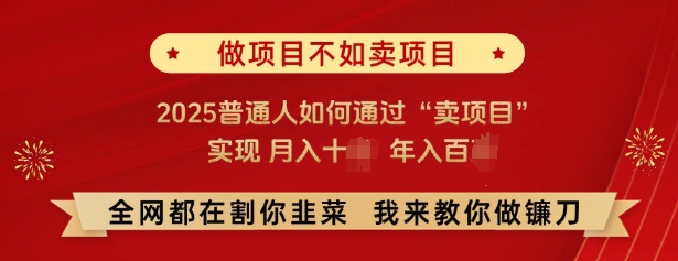 必看，做项目不如卖项目，2025普通人如何通过“卖项目”实现月入十个，年入百个-一点通资源网
