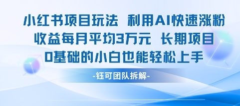 适合小白操作的小红书新项目，利用AI快速涨粉，收益每月平均1W+-一点通资源网