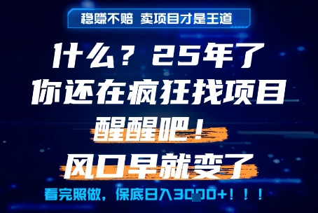 什么？25年你还在疯狂找项目做，醒醒吧，看完这些你全都懂了！【揭秘】-一点通资源网