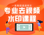专业去视频水印教程 静态水印、动态水印、文字水印、图片水印一套教程通通搞定-一点通资源网