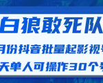 白狼敢死队最新抖音短视频批量起影视号（一天单人可操作30个号）视频课程-一点通资源网