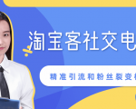 某站内部课程:淘宝客社交电商裂变,精准引流和粉丝裂变模式详解(共6节视频)-一点通资源网
