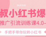 狼叔小红书爆款推广引流训练课4.0,手把手带你玩转小红书-一点通资源网