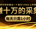 年赚十万的采集站,每天却只需要1小时,一年时间采集出一个售价10W以上的网站-一点通资源网