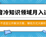 抖音冷知识领域月入过万项目,不适宜公开解决方案 ,抖音赚钱方式大解析!-一点通资源网