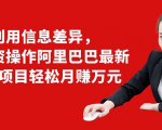 利用信息差异,零投资操作阿里巴巴最新管道项目轻松月赚10000+-一点通资源网