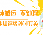 抖音纯搬运 不处理 小技巧,30秒发一个作品,避免违规评级秒过豆荚-一点通资源网