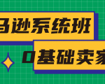 亚马逊系统班，专为0基础卖家量身打造，亚马逊运营流程与架构-一点通资源网
