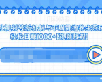 视频号新机制与不刷赞撸养生茶玩法,轻松日赚1000+-一点通资源网