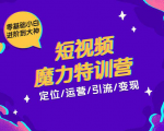 零基础小白进阶到大神《短视频魔力特训营》定位-运营-引流-变现-一点通资源网