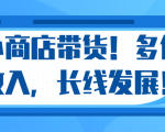 微信小商店带货,爆单多倍收入,长期复利循环!日赚300-800元不等-一点通资源网