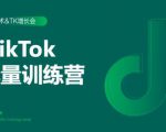 2020最新TikTok流量增长训练营(完结)附PPT-一点通资源网