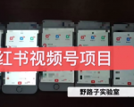 野路子小红书视频号1.0项目，直接上手操作就能赚钱的视频号项目-一点通资源网