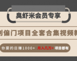暴利偏门项目全套合集视频教程:你要的日赚1000+月入几万+项目都有-一点通资源网