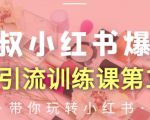 狼叔小红书爆款推广引流训练课第12期，手把手带你玩转小红书-一点通资源网