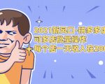 2021新风口-拼多多虚拟店:可多店批量操作,每个店一天收入在200-1000-一点通资源网
