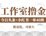 工作室撸金二件套:撸今日头条原创收益+小红书一单利润40块项目-一点通资源网