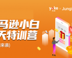 雨课·亚马逊小白特训营第9期 跨境电商挺赚钱的 有朋友已经月入几十万美金-一点通资源网
