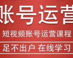 短视频账号运营课程:从话术到短视频运营再到直播带货全流程,新人快速入门-一点通资源网
