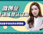 微创业全能训练营认证班课程，从理论知识与实际案例手把手指导创业新手如何从零到有-一点通资源网
