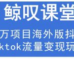 鲸叹号·海外TIKTOK训练营,百万项目海外版抖音tiktok流量变现玩法-一点通资源网