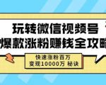 玩转微信视频号爆款涨粉赚钱全攻略,快速涨粉百万变现万元秘诀-一点通资源网