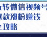 玩转微信视频号爆款涨粉赚钱全攻略，让你快速抓住流量风口，收获红利财富-一点通资源网